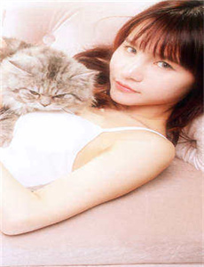 《免费高清岛国在线观看-电影《欲妇艳谭》》